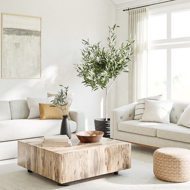 A bright sitting room with two sofas facing each other across a low wooden table, set up for a group to talk
